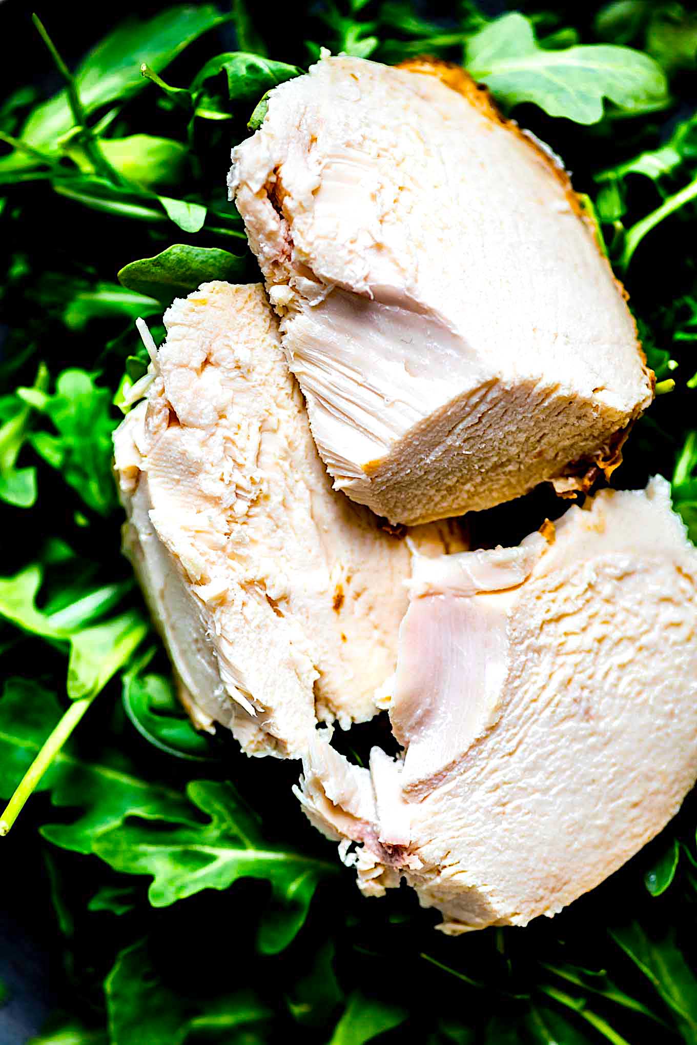 Chicken Avocado Wrap Seasoned Well